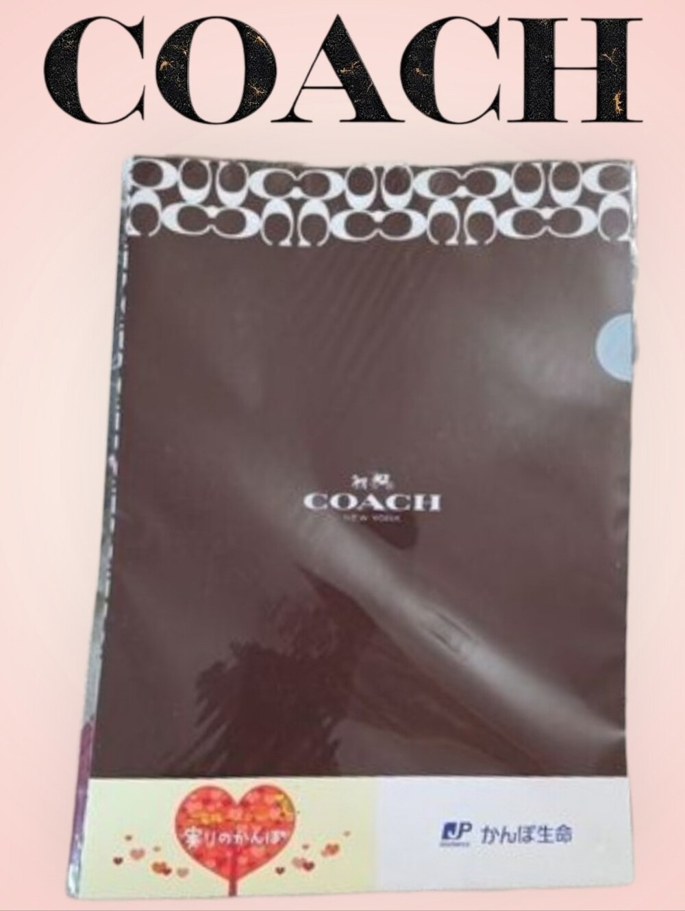 COACH Brown Logo File Folder Set Of 3-  12x9 Inches Japan Novelty